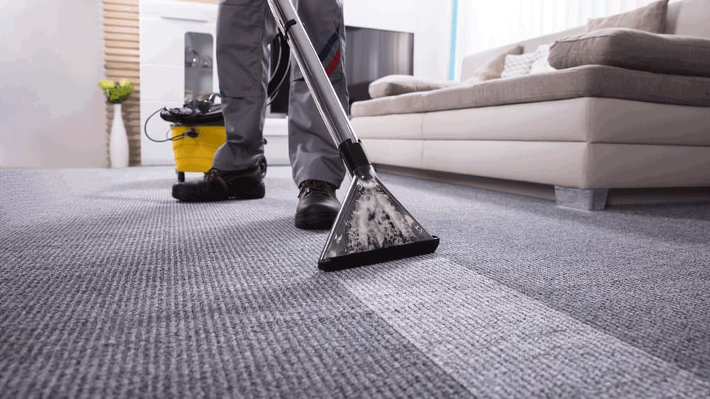 Carpet Cleaning — EcoBug professional service