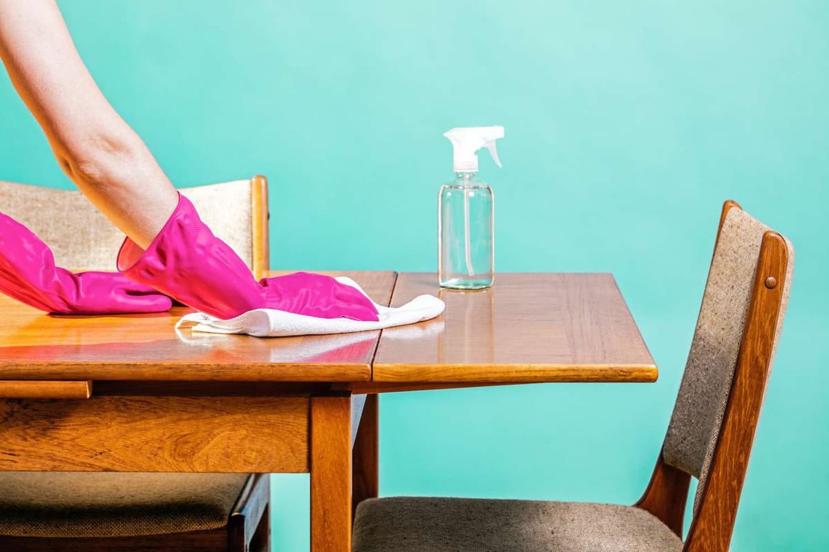 Furniture Dusting & Polishing — EcoBug professional service