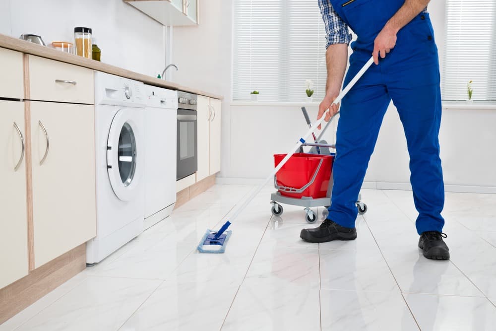 House Cleaning — EcoBug professional service