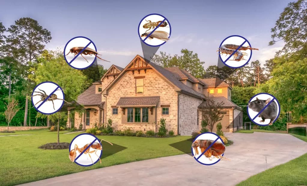 Residential Pest Control — EcoBug